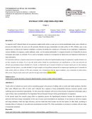 La empresa textil Lafayette