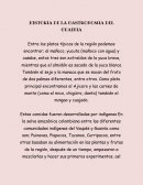 HISTORIA DE LA GASTRONOMIA DEL GUAINIA