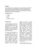 USO DEL MECHERO Y ENSAYO A LA LLAMA.