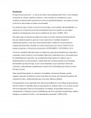 El trigo (triticum aestivum L.)