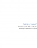 Ensayo a Pelicula Lucy