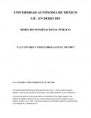 Cannabis y otras drogas en el mundo