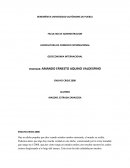 GEOECONOMIA INTERNACIONAL. ENSAYO CRISIS 2008