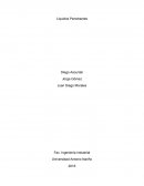 PROPOSITO Y PRINCIPIOS DEL ENSAYO POR LIQUIDOS PENETRANTES