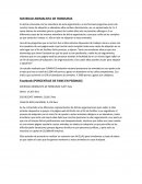 SOCIEDAD ANIMALISTA DE HONDURAS.