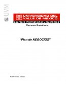 Ensayo “Plan de Negocios”
