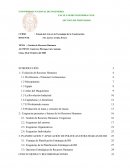 Liderazgo,trabajo en equipo