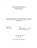 CUIDADOS DE ENFERMERÍA A PACIENTE CON OBESIDAD DE LA COMUNIDAD 2 DE DICIEMBRE DEL MUNICIPIO CRUZ PAREDES PARROQUIA BARRANCAS