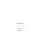 Prevencion de riesgos basico