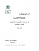 INFORME DE LABORATORIO CALOR DE REACCIÓN Y CALOR DE SOLIDIFICACIÓN