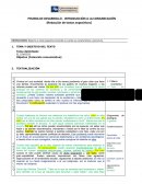 PRUEBA DE DESARROLLO - INTRODUCCIÓN A LA COMUNICACIÓN