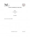 INSTITUTO TECNOLÓGICO DE NUEVO LEÓN