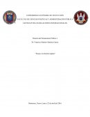 LA LICENCIATURA EN RELACIONES INTERNACIONALES
