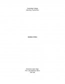 EXAMINING SCHOOL-BASED SOCIAL SKILLS PROGRAM NEEDS AND BARRIERS FOR STUDENTS WITH HIGH-FUNCTIONING AUTISM SPECTRUM DISORDERS USING PARTICIPATORY ACTION RESEARCH