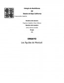 ENSAYO Los Águilas de Mexicali