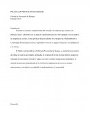 Politica de prevencion de riesgos.