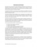 Resumen - PROCESO DEL SOFTWARE