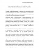 FRANCISCO HERRERA MEGIA CULTURA BIOLÓGICA EN CHIMPANCÉS