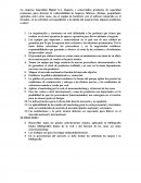 La organización y estructura no está delimitada a las gestiones que tienen que realizar en el nivel ejecutivo de apoyo y operativo para llevar adelante el negocio