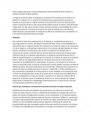 Frecuencia poblacional y efecto estimado de CNV’s materno en pruebas con índices de falsos positivos.