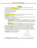 Determinación del conjunto de metas y objetivos a largo plazo, y la adopción de caminos de acción y de asignación de recursos para alcanzar dichas metas.