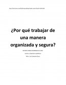 Mucho se insiste en la importancia del orden y la limpieza en los puestos de trabajo como algo de lo más importante de un programa de higiene y seguridad.