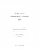 INFORME DE LABORATORIO CALOR DE REACCIÓN Y CALOR DE SOLIDIFICACIÓN