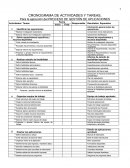 CRONOGRAMA DE ACTIVIDADES Y TAREAS,