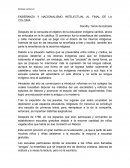 TEMA- ENSEÑANZA Y NACIONALISMO INTELECTUAL AL FINAL DE LA COLONIA.