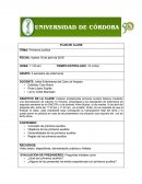 Ejemplo de plan de clase. Primeros auxilios