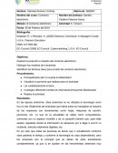 Comercio electronico Actividad: 6. Tema 6