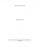 Proyecto de investigacion sobre servicio a domicilio.