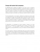 Ensayo del control de la empresa