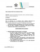 BUENAS PRÁCTICAS DE MANUFACTURA.