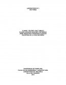 Laboratorio de vectores