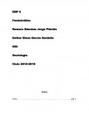 Tesis sociología feminicidios