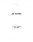 Las Edades Geologicas