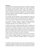 Ensayo sobre el servicio social