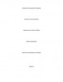 INFORME TRATAMIENTOS TERMICOS.