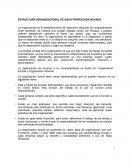 ESTRUCTURA ORGANIZACIONAL DE AGUA PURIFACADA NEVADO