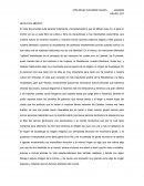 Enayo de Artes- HECHO EN MÉXICO