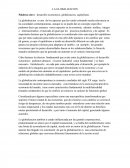 LA GLOBALIZACION. Ensayo.