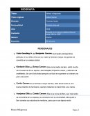 Reseña manos milagrosas