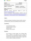 Estrategia para administrar un grupo de empresas.