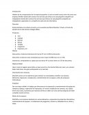 Un ejemplo de una empresa ficticia