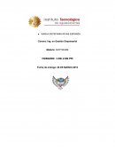 Resumen de Maravilloso Desastre