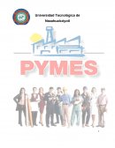 PYMES en México.
