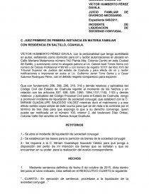 INCIDENTE DE LIQUIDACION DE SOCIEDAD CONYUGAL. - Documentos de  Investigación - gitsoda