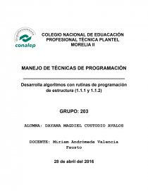 MANEJO DE TÉCNICAS DE PROGRAMACIÓN. Página 1