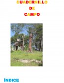 RECORRIDO DE LA SENDA